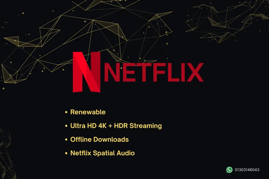 Netflix Single profile (Renewable)