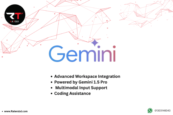 Gemini with storage