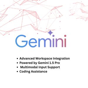 Gemini with storage