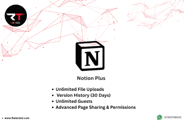 Notion plus
