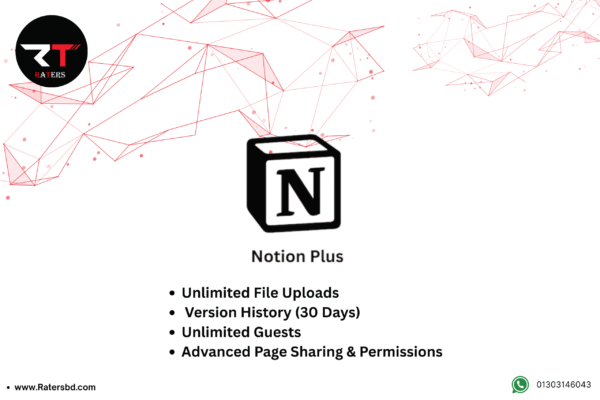 Notion plus